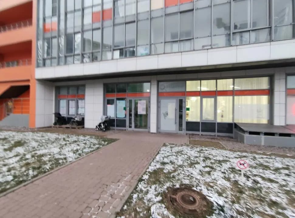 Незабудка — фото 4