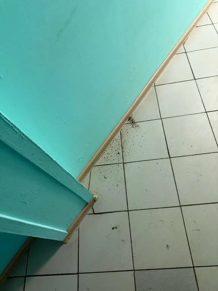 ГБДОУ ЦРР детский сад № 23 Красносельского района Санкт-Петербурга — фото 3