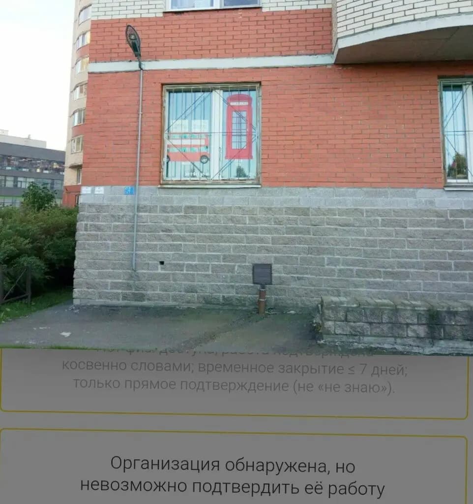 Звёздный лис — фото 10