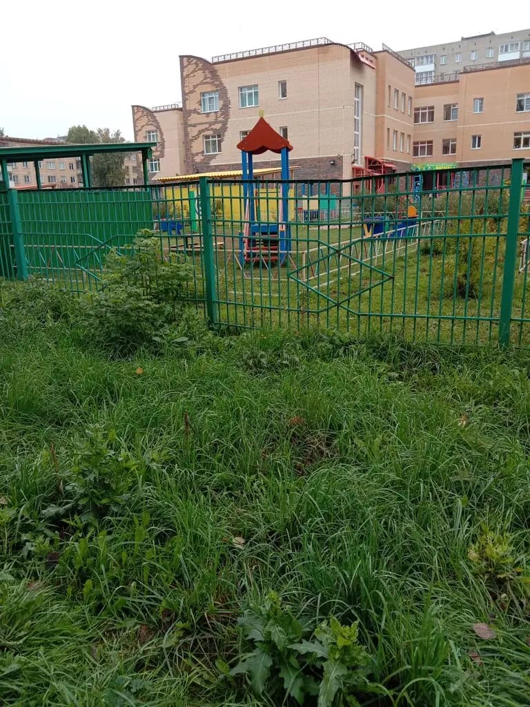 Детский сад № 436 Ивушка — фото 6