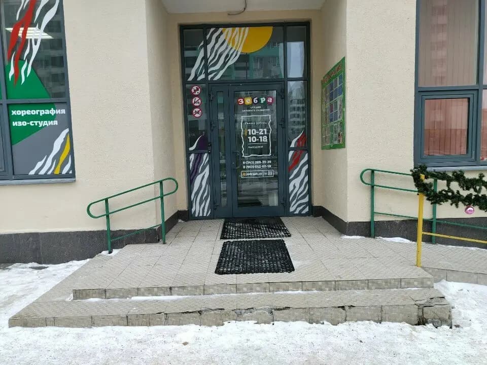 Зебра — фото 9