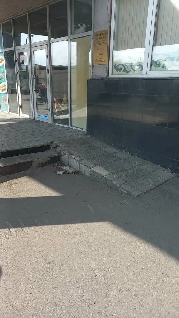 Золотая рыбка — фото 5