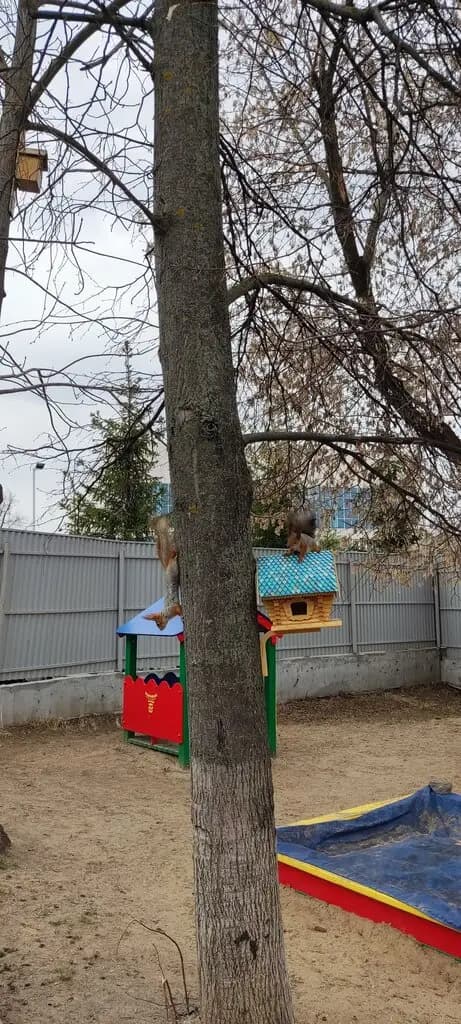 Детский сад № 212 комбинированного вида — фото 7