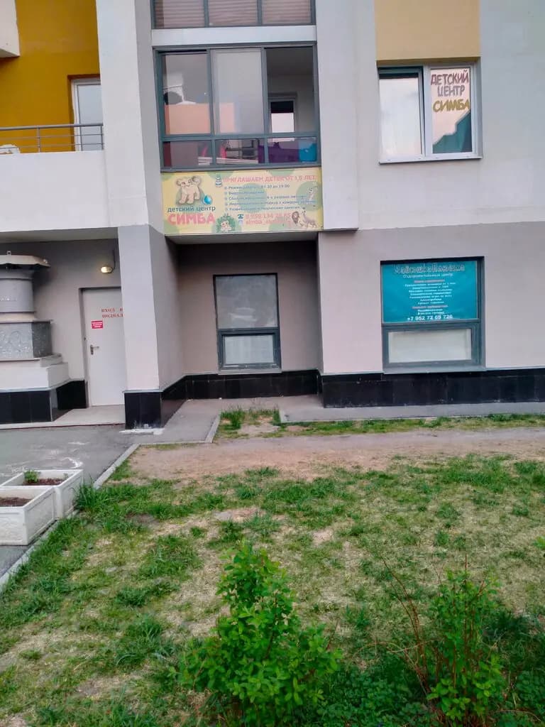 Симба — фото 8