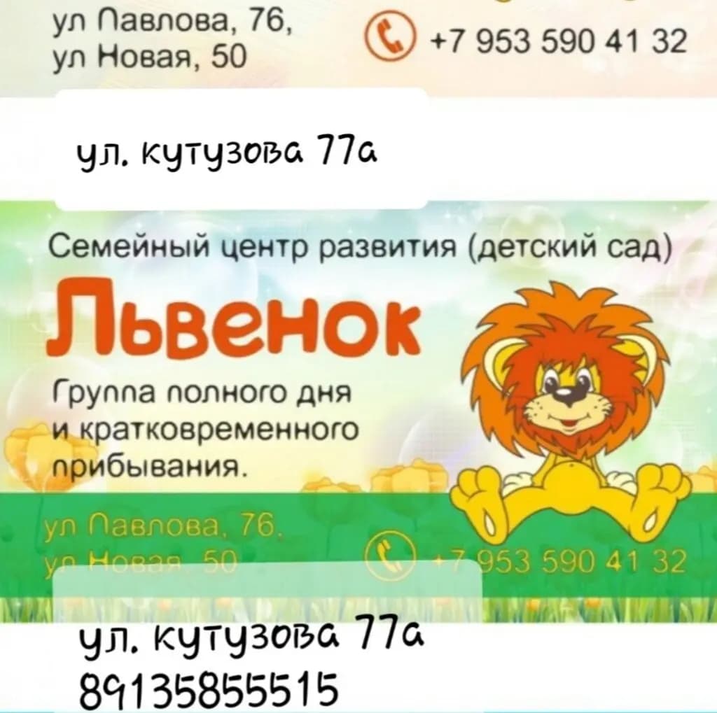 Плюс львёнок — фото 3