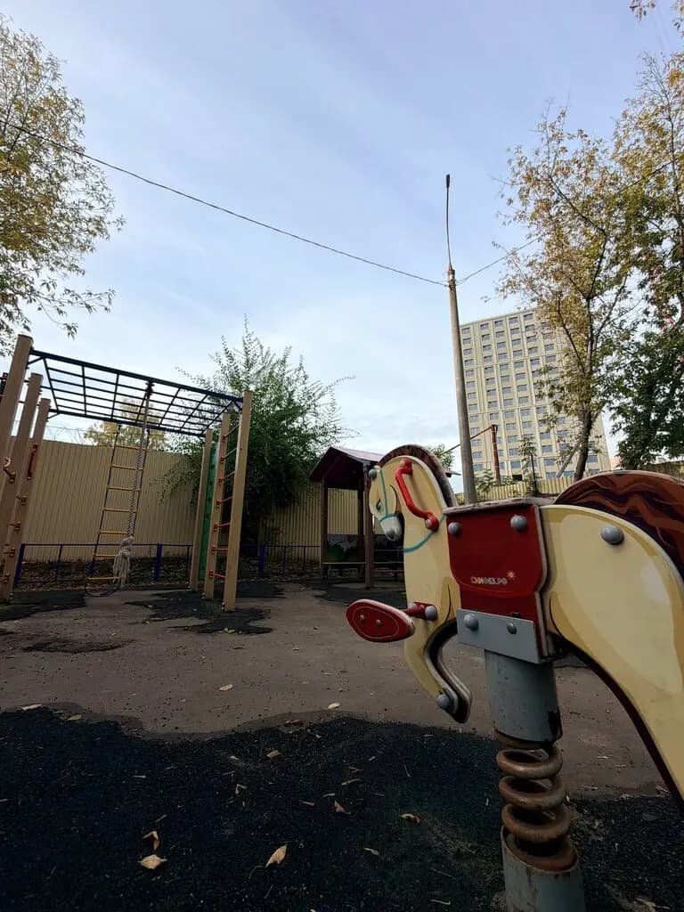 Слон в джунглях — фото 4