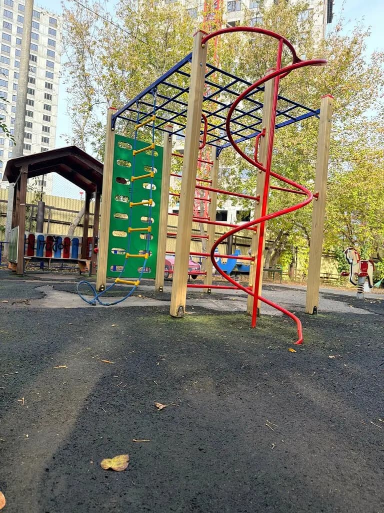 Слон в джунглях — фото 6