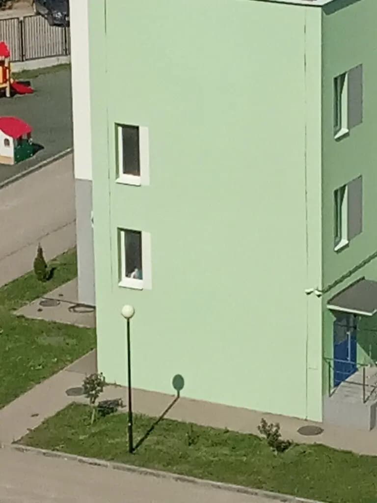 Интеллект-плюс — фото 5