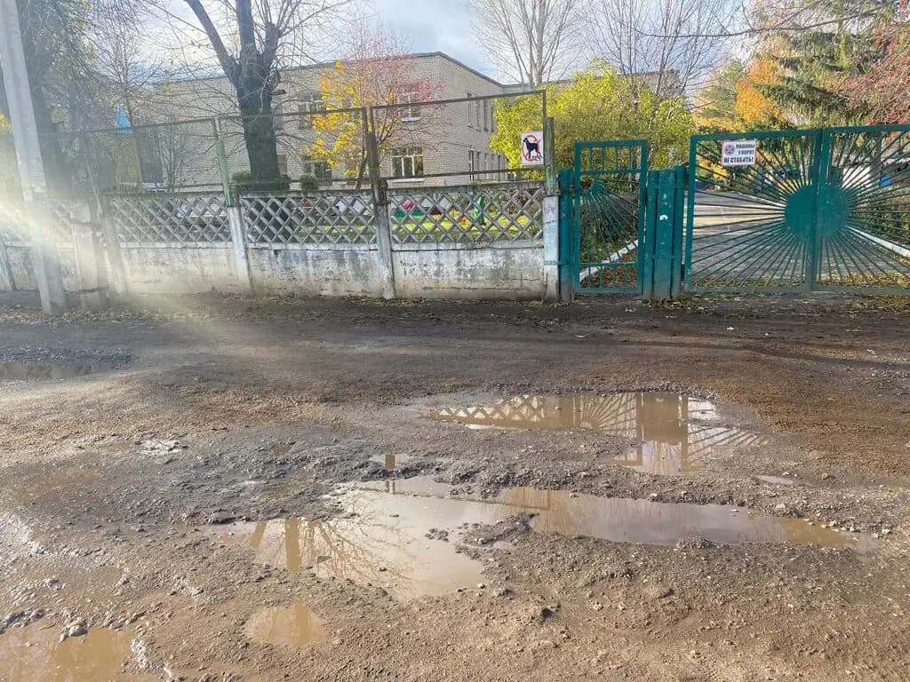Берёзка — фото 3