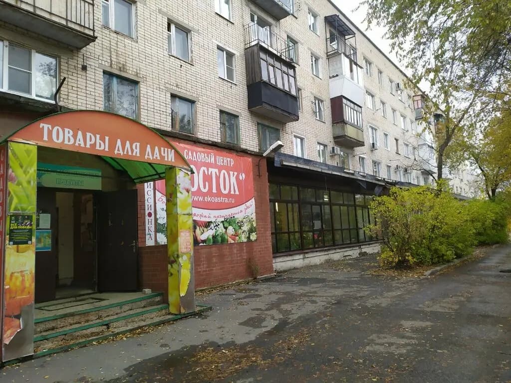 Росток — фото 2