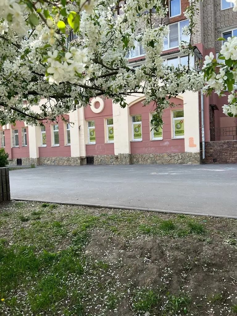 Весёлый кактус — фото 5
