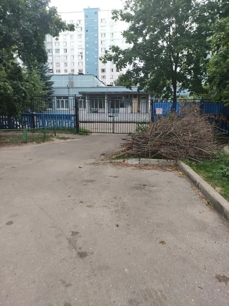 Детский сад № 33 Золотая рыбка