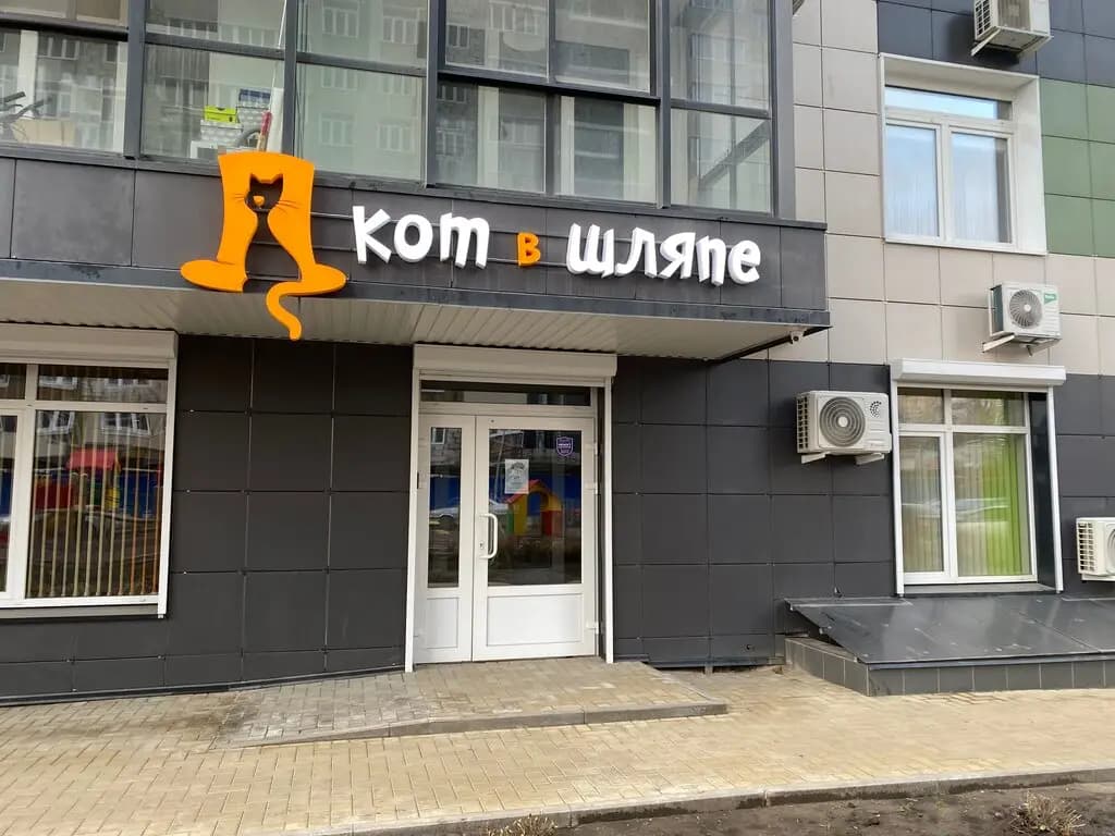 Кот в Шляпе — фото 2