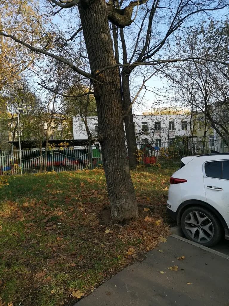 Школа № 1530 школа Ломоносова, дошкольные группы — фото 5