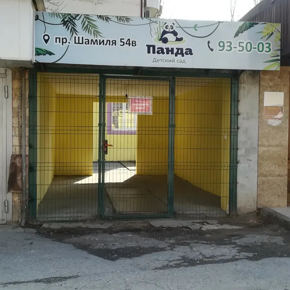 Панда — фото 4