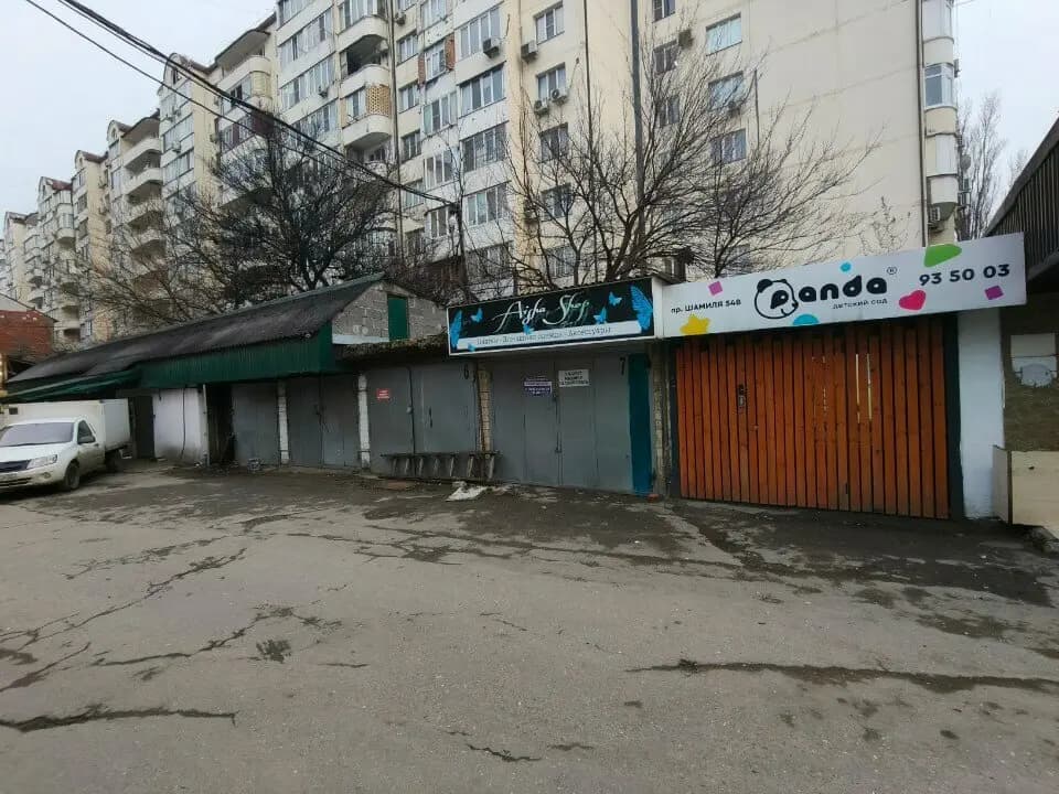 Панда — фото 7