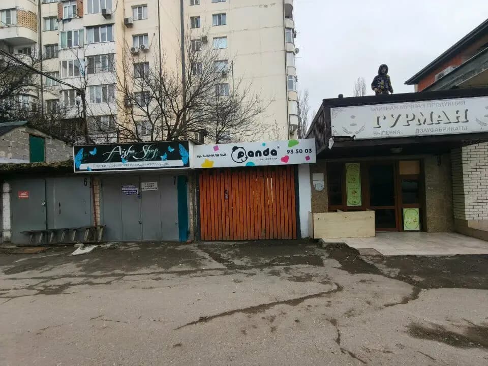 Панда — фото 9