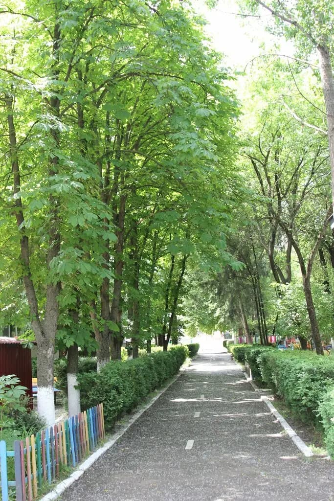 Детский сад № 16 Красная шапочка — фото 6
