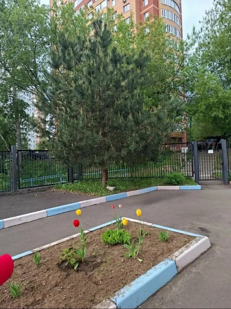 Гимназия № 1, дошкольное отделение Елочка — фото 2