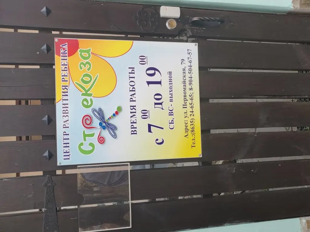 Частный детский сад Стрекоза — фото 2