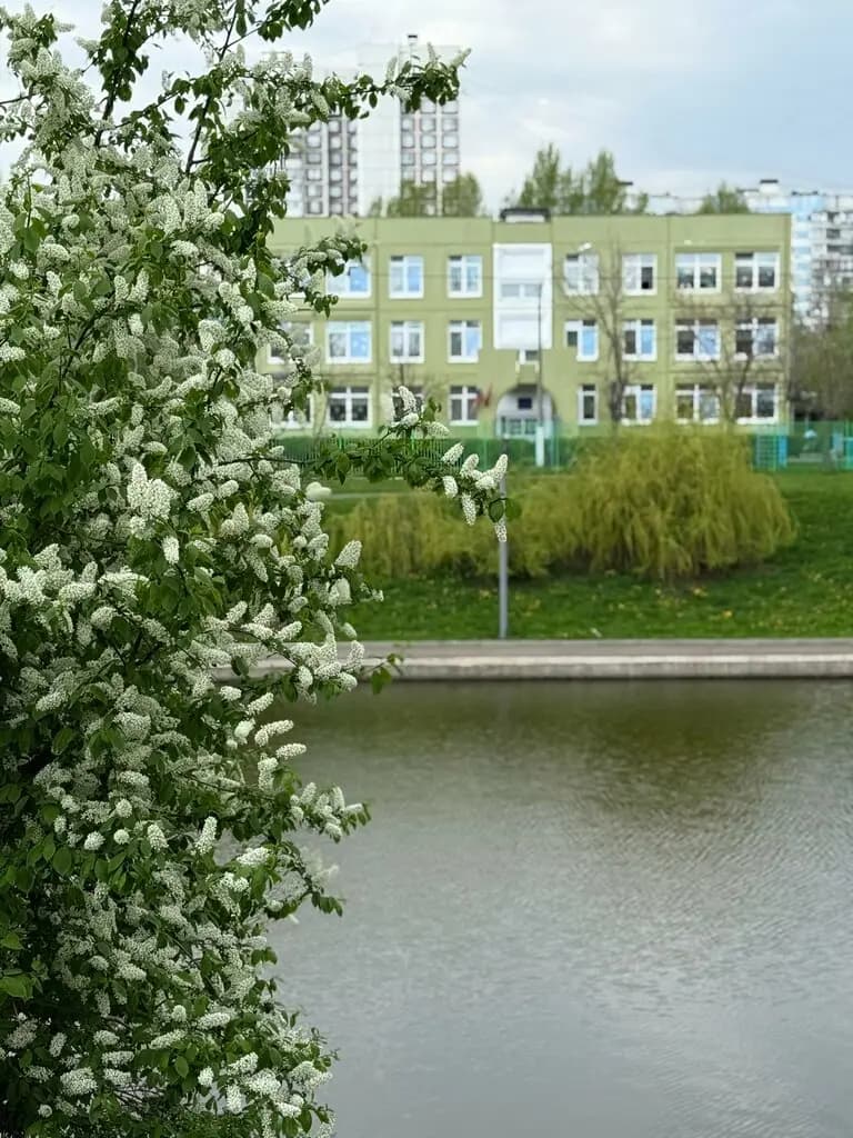 Марьинская школа № 1566 памяти Героев Сталинградской битвы, дошкольное отделение № 1 Капитошка — фото 2