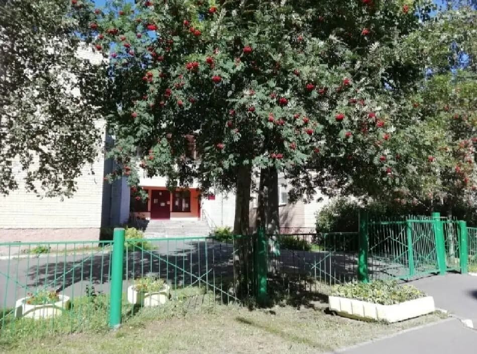 Детский сад № 50 Искорка — фото 6
