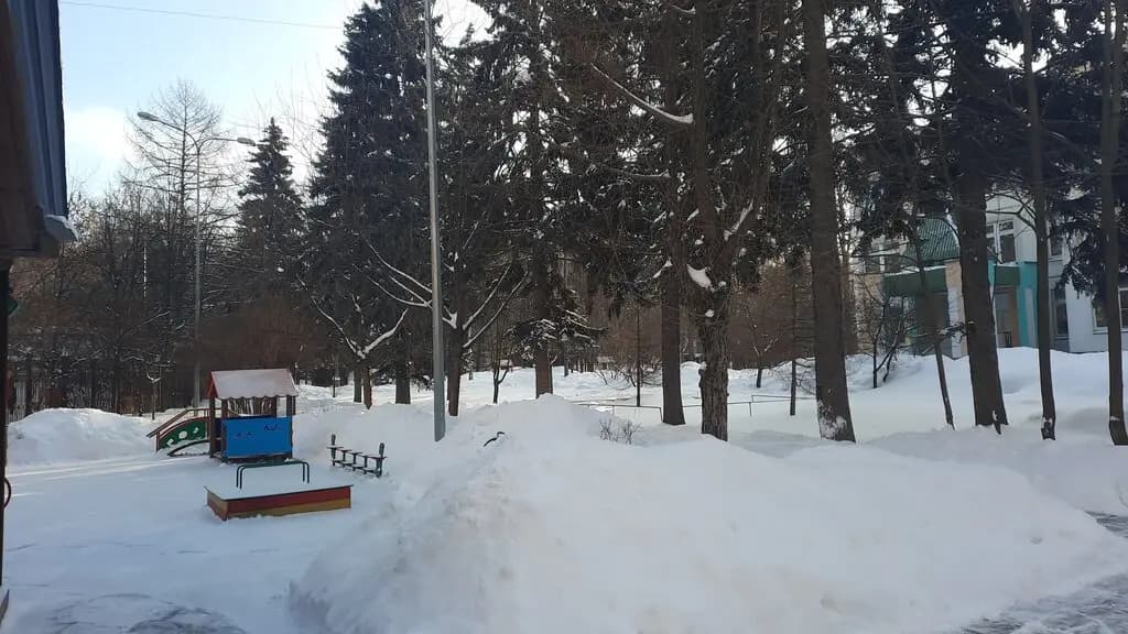Школа № 904, учебный корпус № 5 Лесная сказка — фото 7