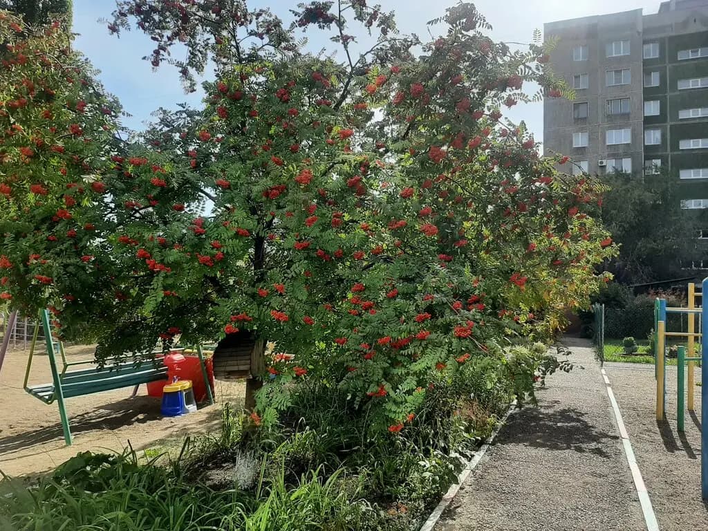 Центр развития ребёнка-детский сад № 67 — фото 9