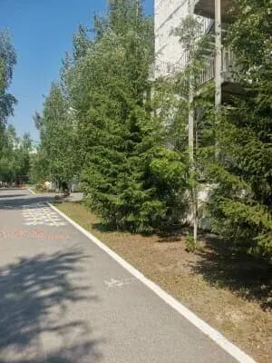 Детский сад № 40 Снегурочка — фото 8