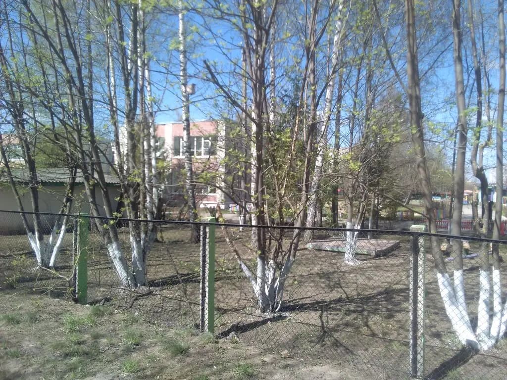 Детский сад № 10 Звёздочка — фото 6