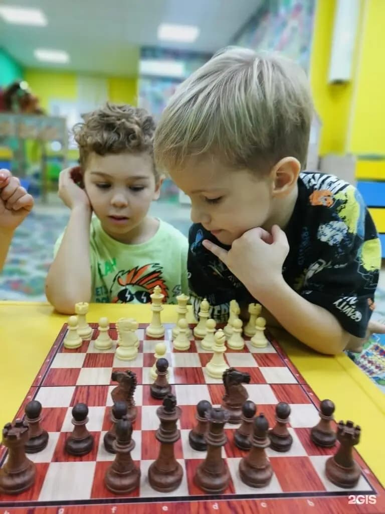 Волшебная страна — фото 10