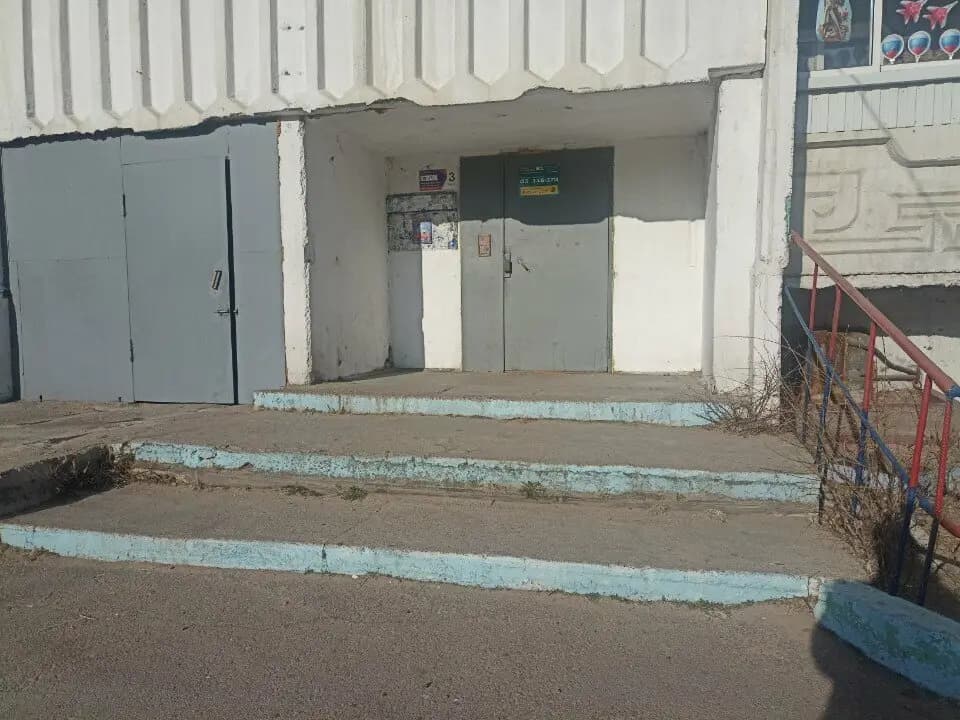 Панда — фото 9