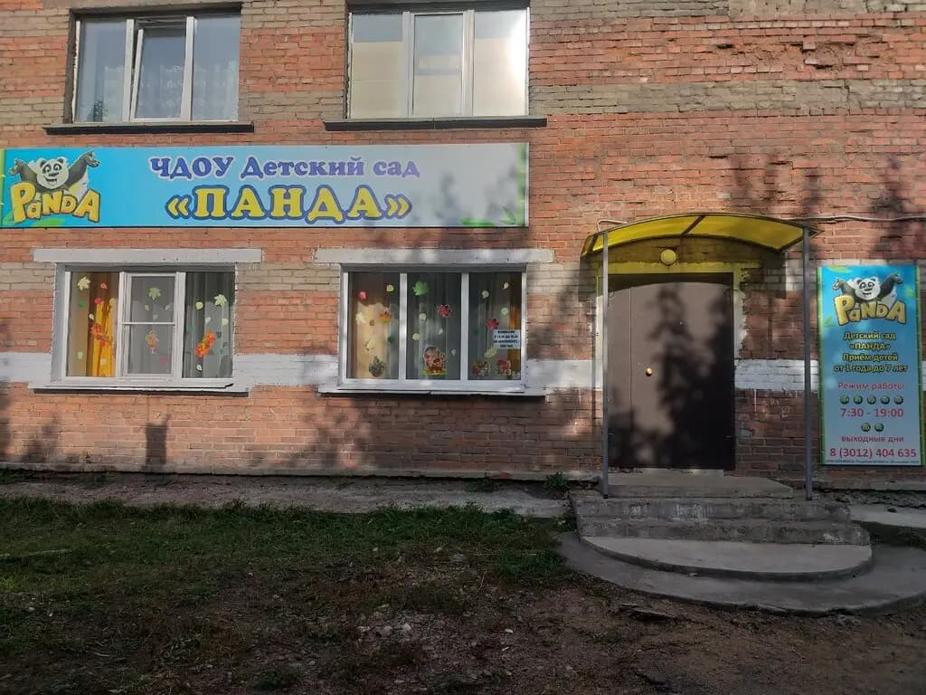 Панда — фото 2