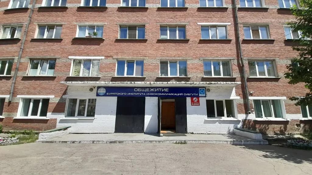 Панда — фото 8