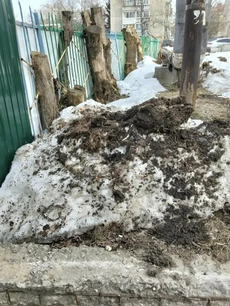 Детский сад № 41 Пчёлка — фото 10