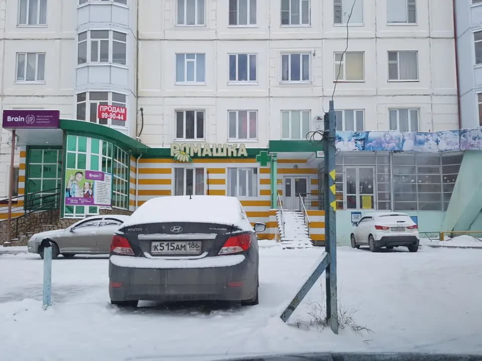 Крошка енот — фото 3