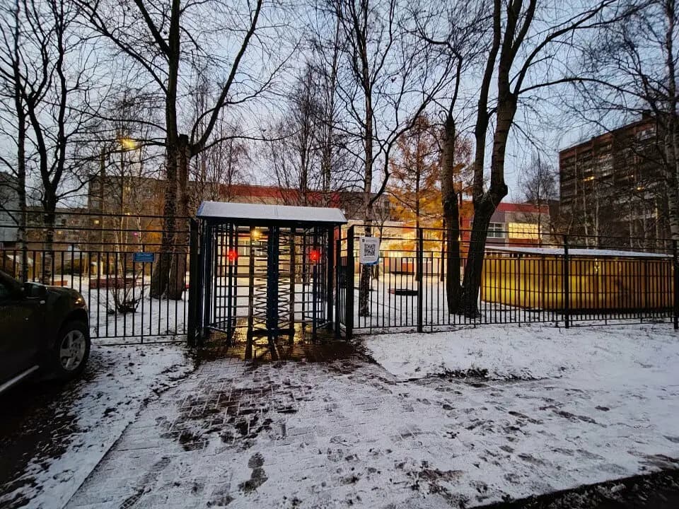 Сова — фото 3
