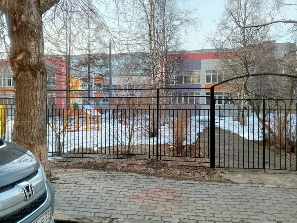 Сова — фото 4