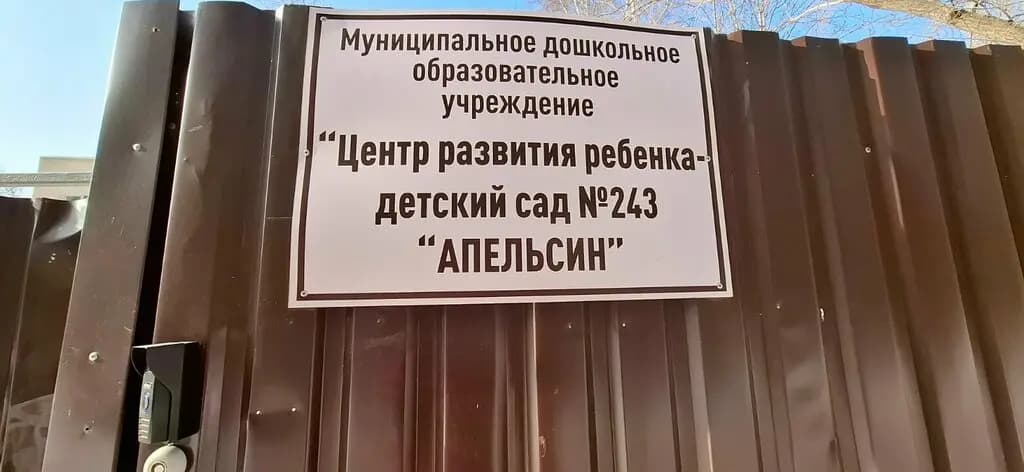 Центр развития ребёнка-детский сад № 243 Апельсин — фото 3