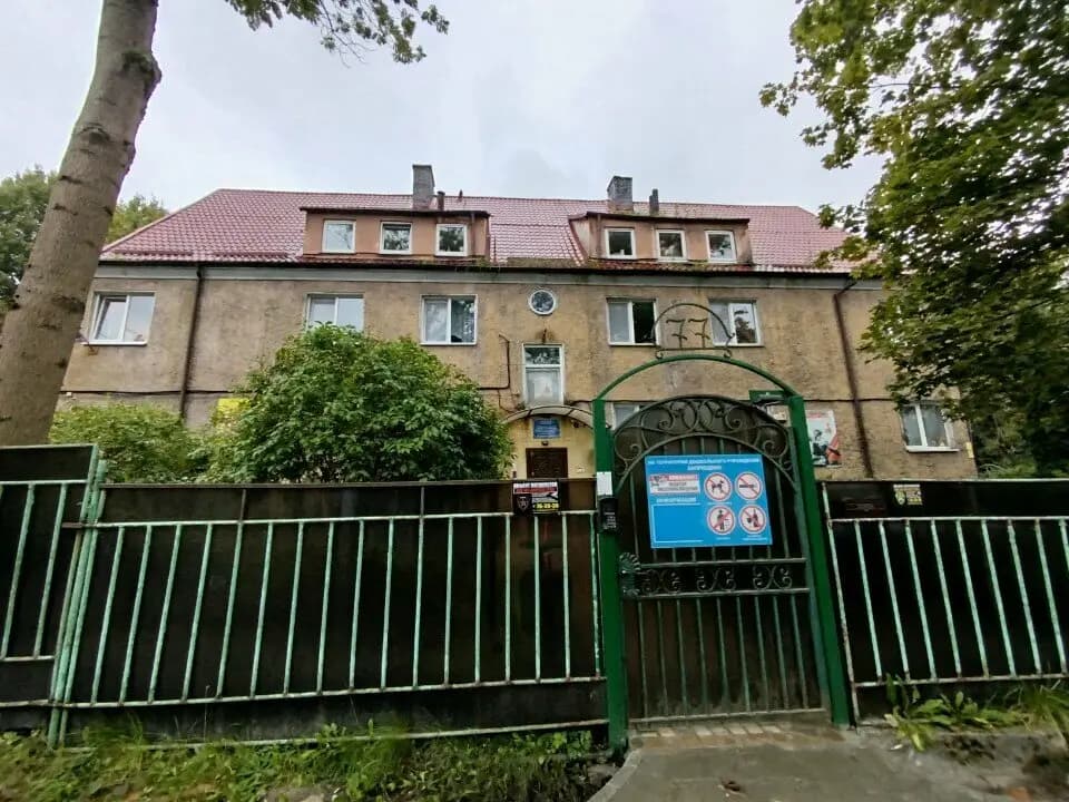 Центр развития ребёнка-детский сад № 77 — фото 4