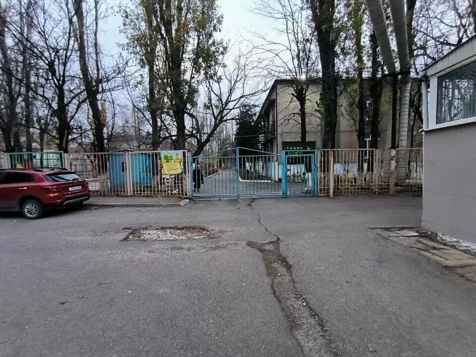 Лео — фото 2