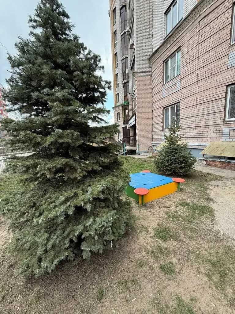 Ладушки-Ладошки — фото 9
