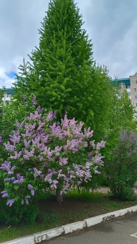 Детский сад № 18 — фото 3