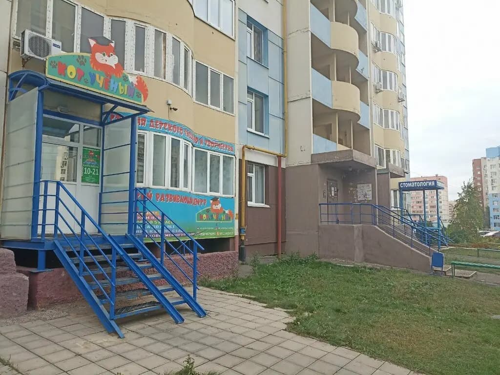 Кот ученый — фото 4