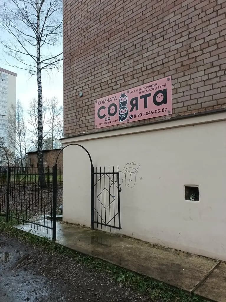 Совята — фото 5