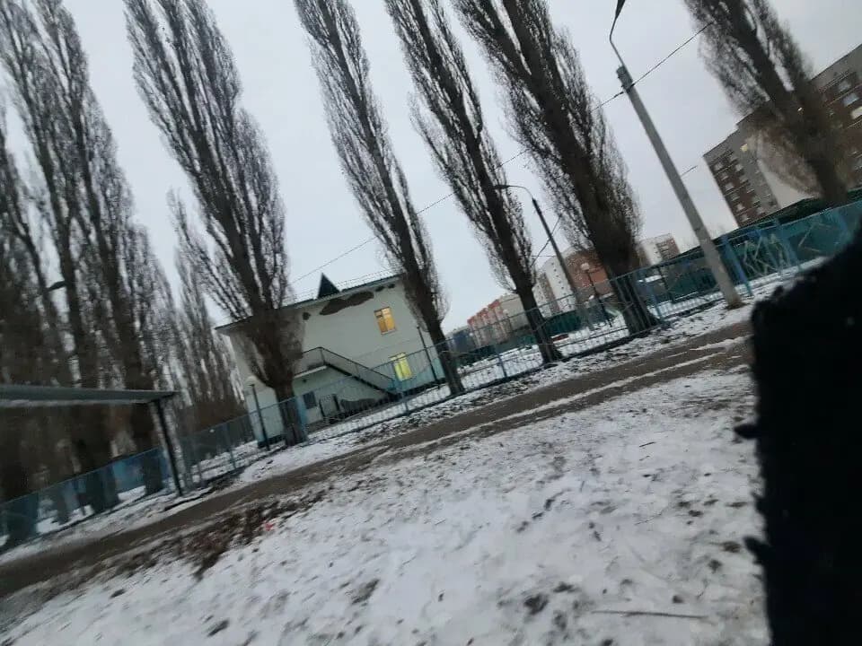 Детский сад Рябинка — фото 6