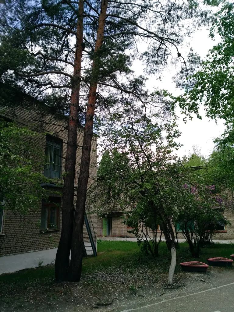 Детский сад Белочка — фото 4