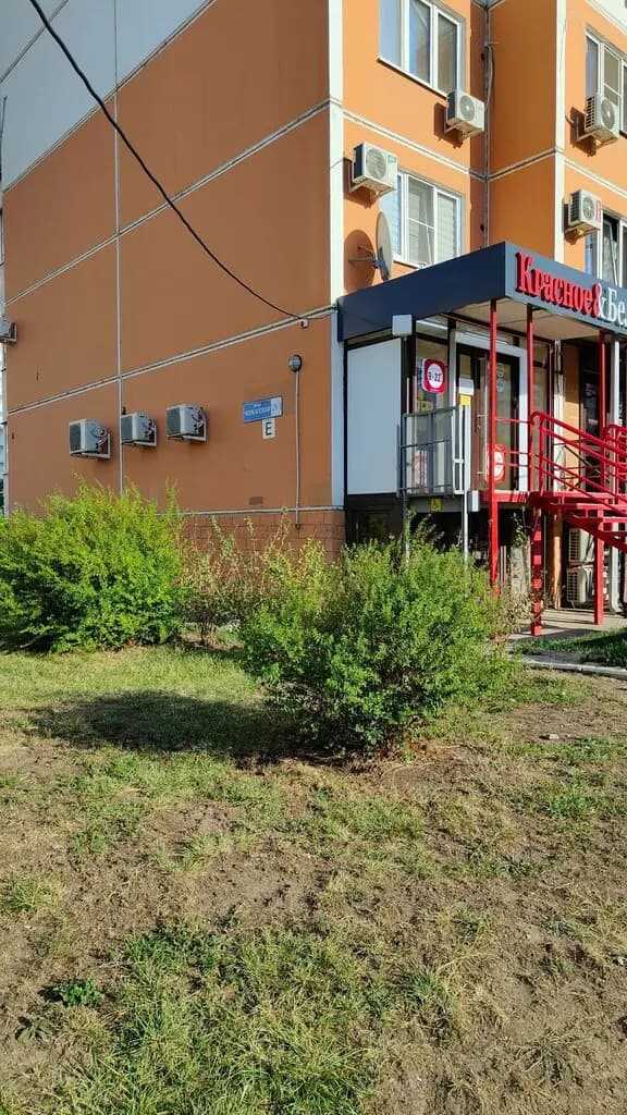Дети юга — фото 3