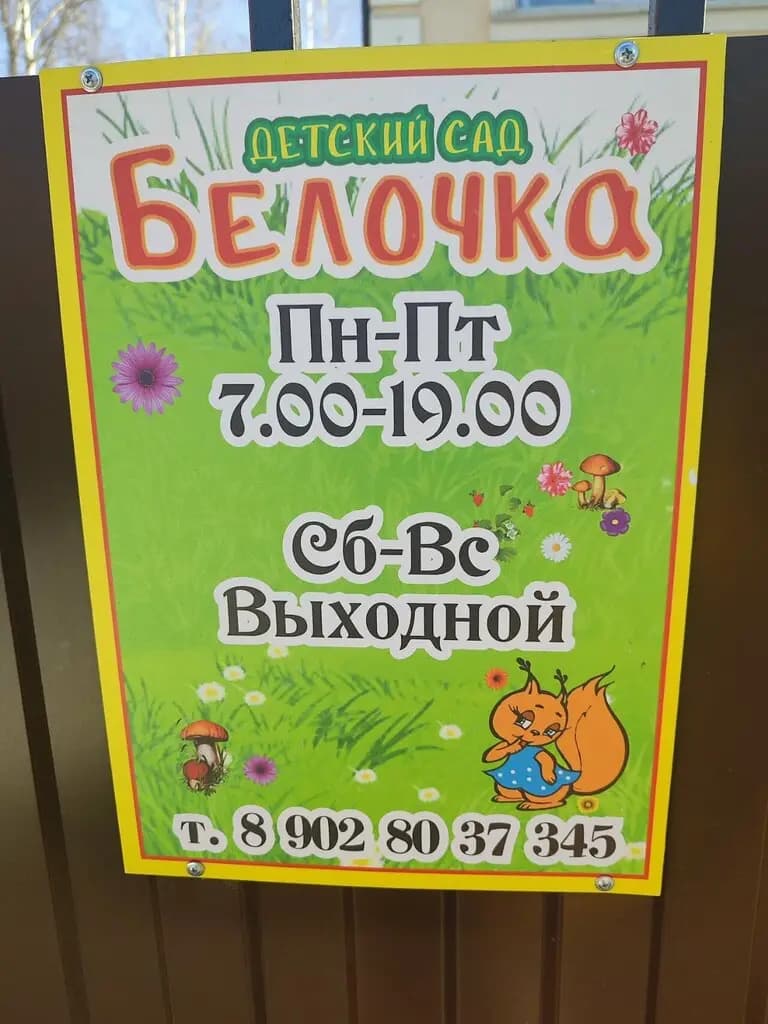 Белочка — фото 3