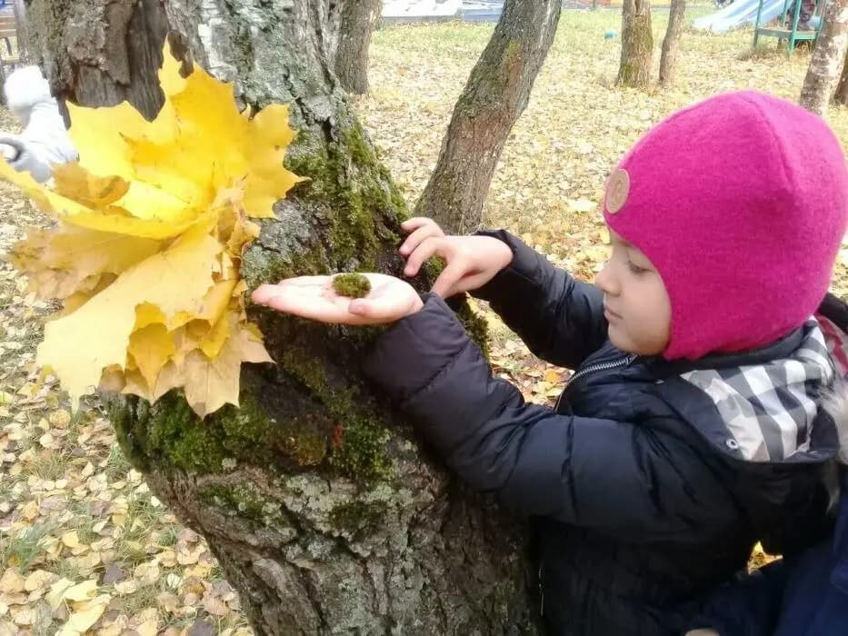 Маленькая Страна — фото 10